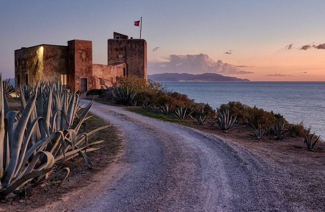 Castle en Talamone con 6 habitaciones, capacidad 12