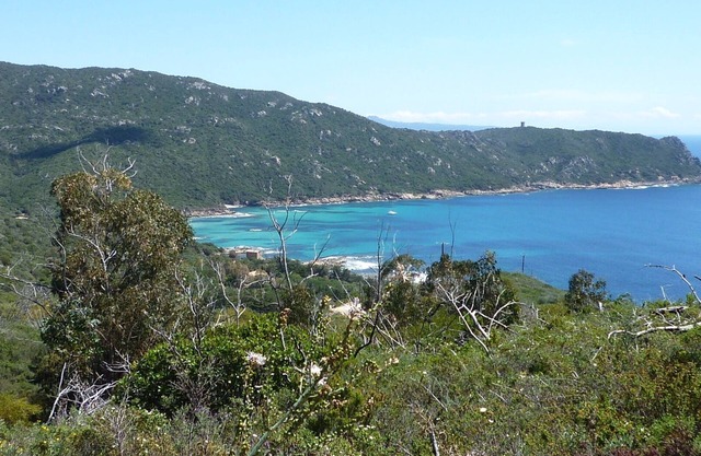 Pretty Garden apartment 350m beach PORTIGLIOLO - South Shore PORTICCIO