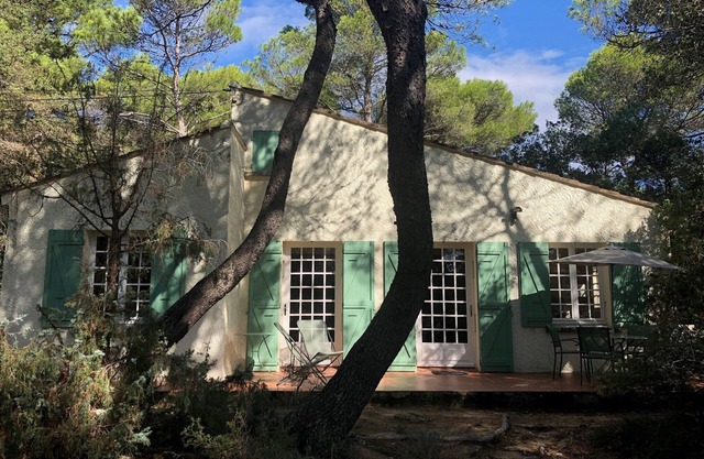 Bonita casa de vacaciones en medio de un bosque de pinos.