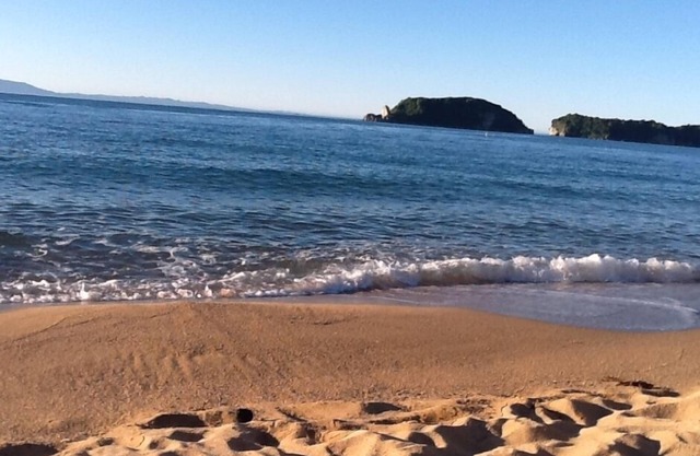 TataTreat pequeña y modesta atractiva unidad absoluta frente a la playa