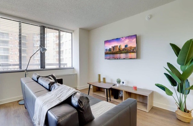 Unique Luxury Apt with Rooftop @Pentagon City
