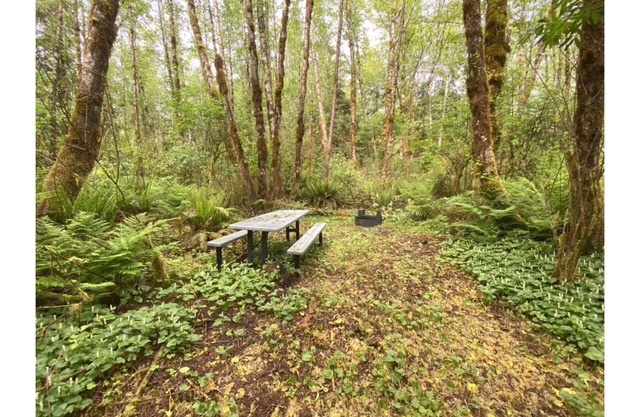 Primitive Tent Site #15- Beautiful Forested Property