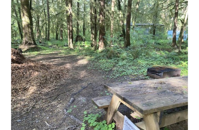 Primitive Tent Site #7- Beautiful Forested Property
