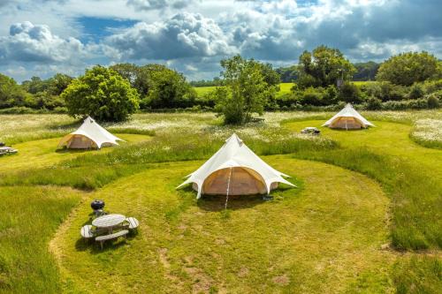 Primrose at Blancas Bell Tents