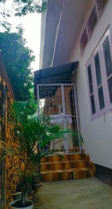 Primrose Homestay
