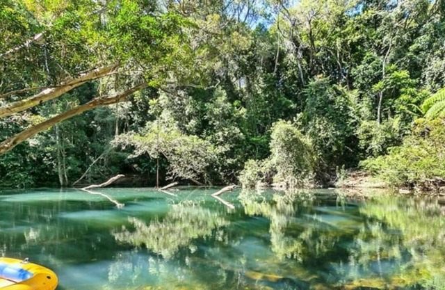 Pristine Rainforest retreat
