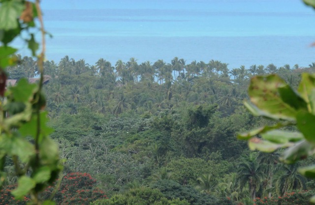 Priva House with Exceptional Sea View Villa / 5MN Beaches and Center / Pool