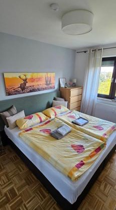 Private Apartment Nikola