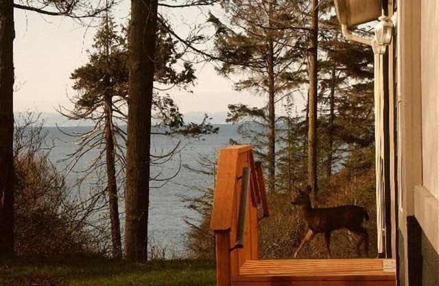Humble Bee Hive tiene vistas al agua, Pvt. Playa, entre Sequim y Port Angeles