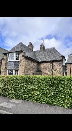 Private Bedroom in Detached Home in Newington