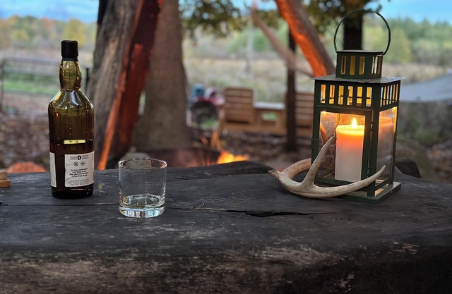 Private cabin and spa in the woods! Pet Friendly!