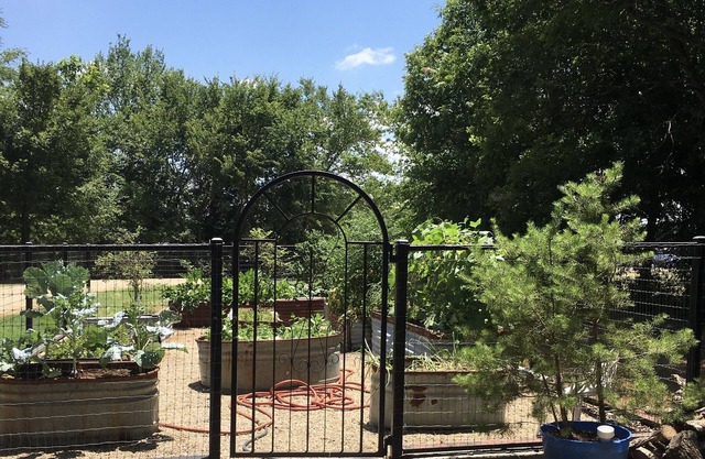 Cabaña privada situada en 6. 5 acres, hermosos amaneceres, estanque, pesca y más.