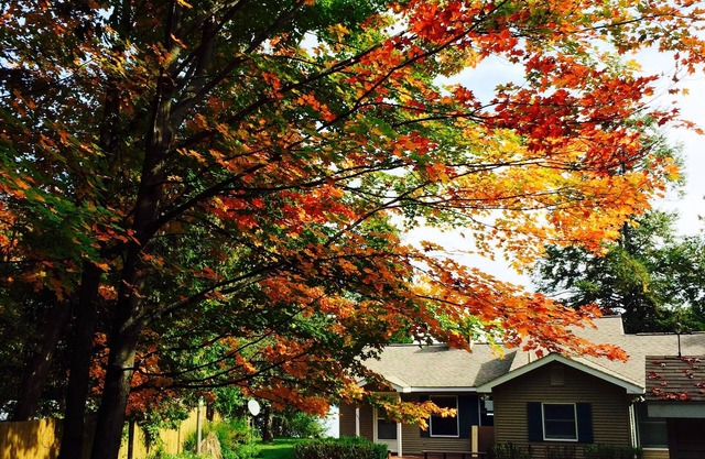 Privado Cottage, Cozy En Torch Lake!