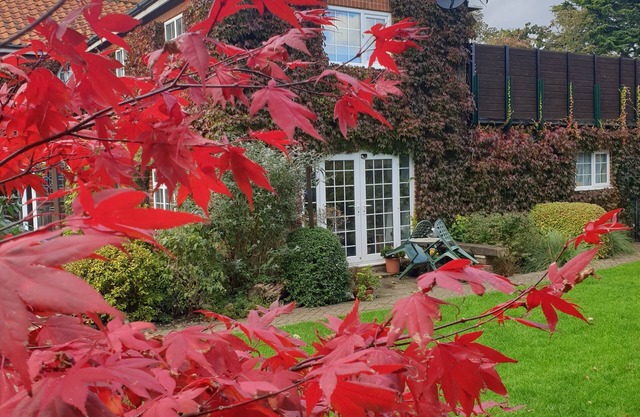 Private entrance, parking, peace and quiet within walking distance of the city