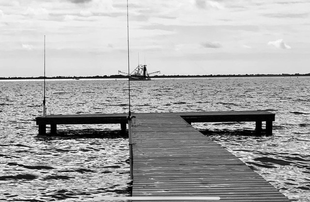 Private fishing pier and a beautiful view!