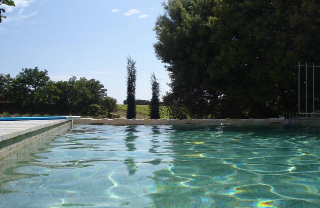 Piscina privada climatizada de borde infinito. Jacuzzi, lavanda, montañas y viñedos.