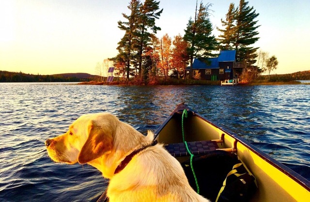 Retiro privado en la isla - Solo parejas - En el lago Kawawaymog cerca del parque Algonquin