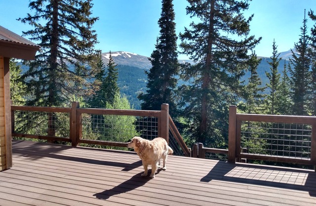 Private Mountainside Perch with Hot Tub / Pet Friendly / Retro Chic - Alpine Haus