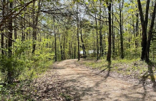 Private Ozark Home@Roaring River. Near Eureka Spg. MO 420 friendly/outside only