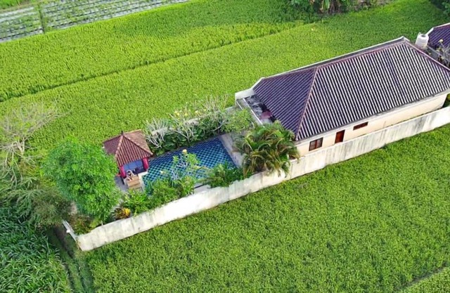 Private pool Villa Sawah Sewon