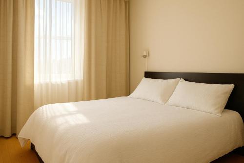 Private Queen Room in Downtown Toronto, Steps to Subway & CN Tower
