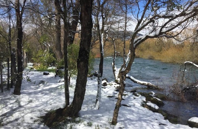 Private room on cabin, near water stream and river