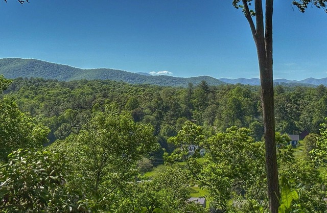 Blue Ridge Views - 2 King Beds - Near the Ecusta Trail - No Stairs - Private