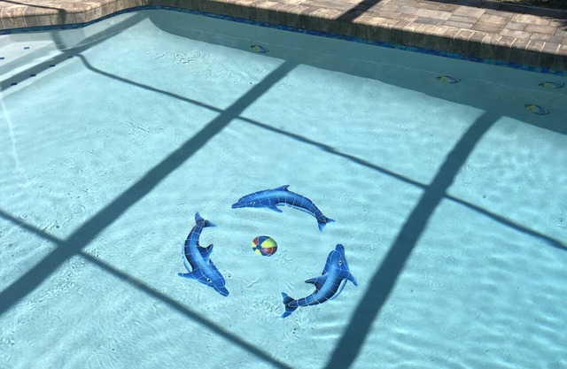 Private Studio with pool 4.8 mil. from the beach!