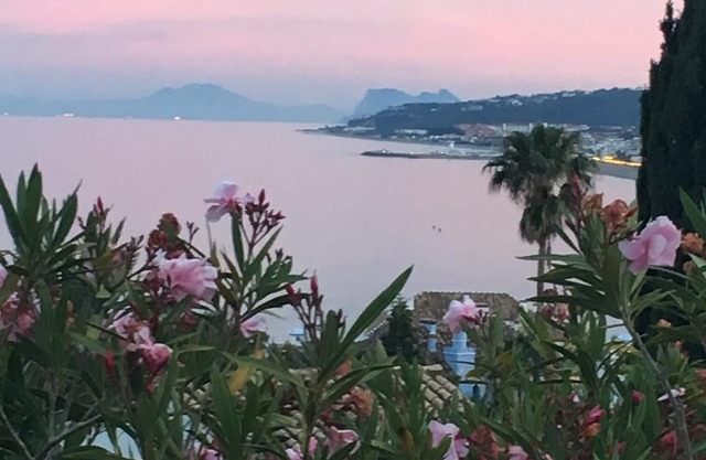 Villa privada en 1/2 acre de jardines subtropicales. Magníficas vistas al mar y piscina grande