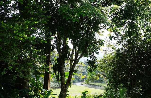 Villa privada cerca del aeropuerto de La Fortuna