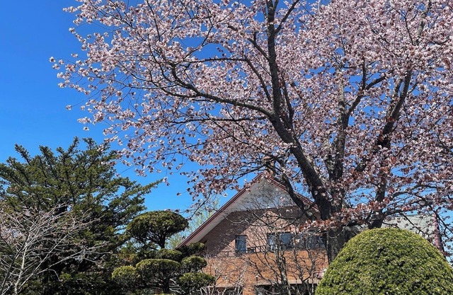 Private villa with large garden BBQ with your pet / Kushiro Hokkaidō