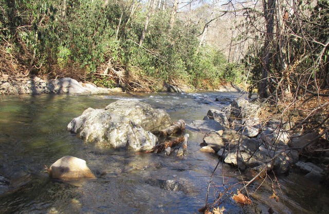 Cold Mountain Cabin: Cascada privada: Pasarela privada; pesca de truchas