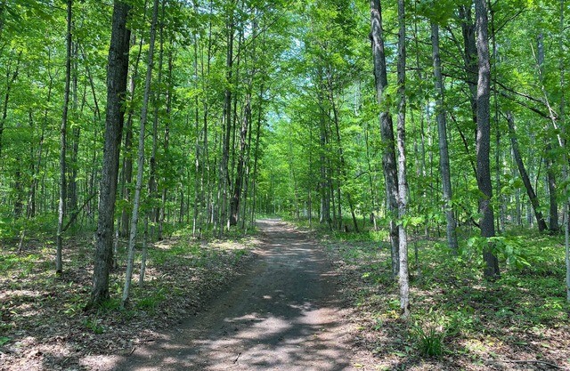 Private Wooded Campsite for Tents or Small RV's #4