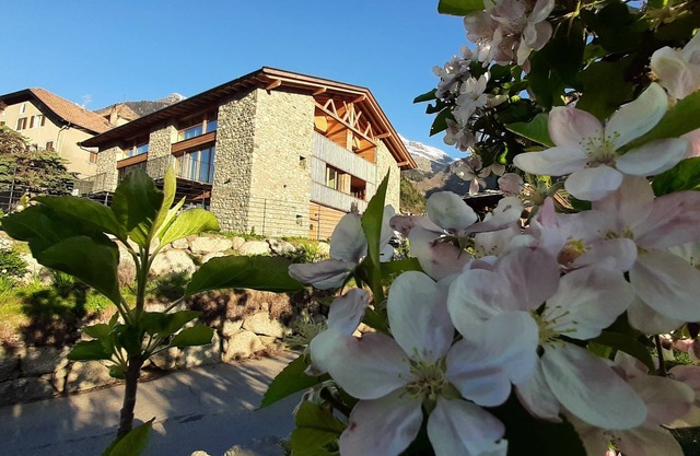 Pröfinghof Hoawiag - granero pintoresco con apartamentos modernos