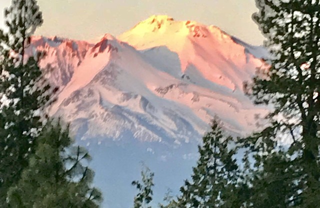 Cabaña / estudio Mt Shasta