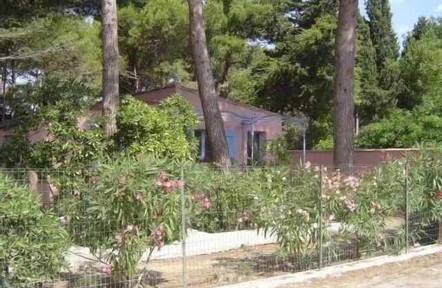 ¡PROMO! La casa de campo franqui bajo los pinos en pueblo encantador