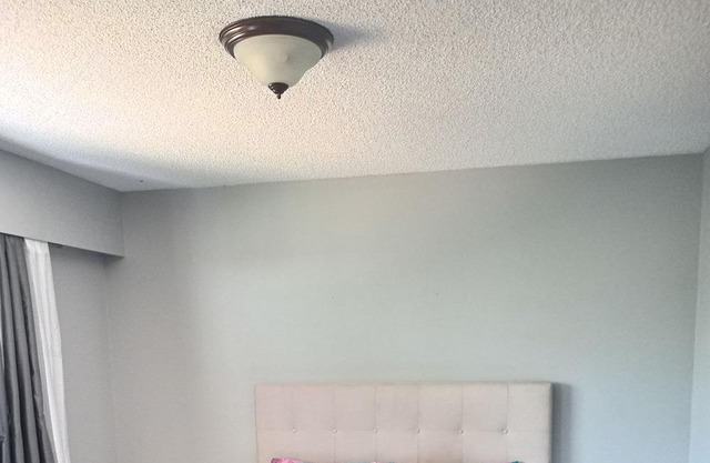 Property in Pitt Meadows.Private Upper-level house 3BR/1.5BA with a huge patio