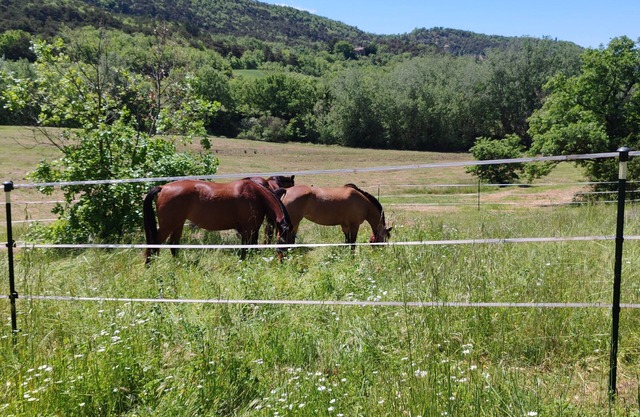 Property near the colorado provençal with view surrounded by 8 ha not overlooked