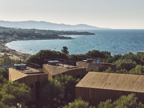 Prosilio olive tree houses