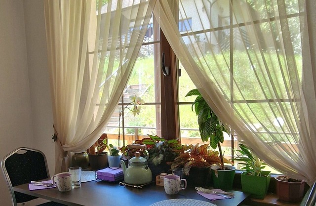 Provence Suceava