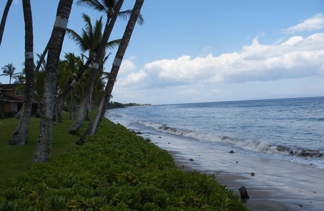 PUAMANA 2 BR PREMIER UNIT, 70 FT TO OCEAN: (milla de frente al mar)