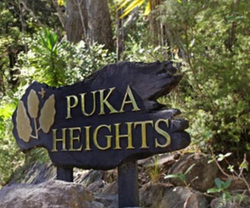Puka Heights