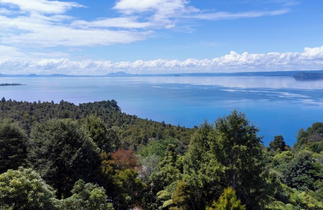 Pukawa Bliss - Pukawa Holiday Home
