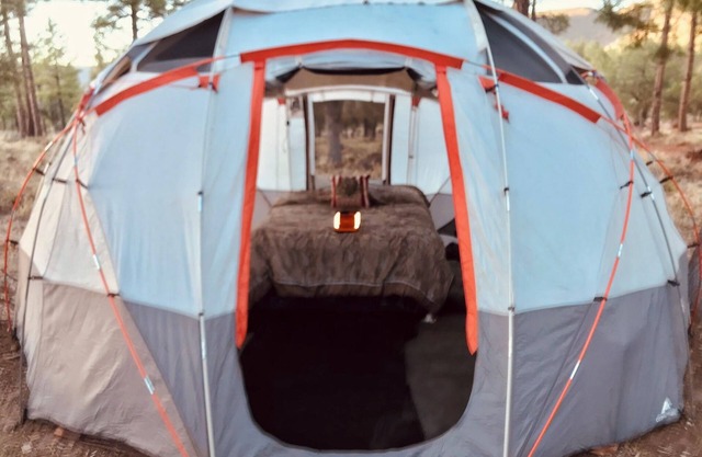 SREGNIWS, CHARMING 1-bedroom campground in Pine, AZ. 1/2 Glamp-1/2 Camp Dogs Yes