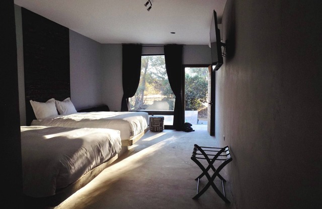 Pulso Valle de Guadalupe