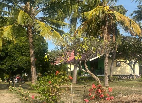 Puma Bungalows Lakey Peak
