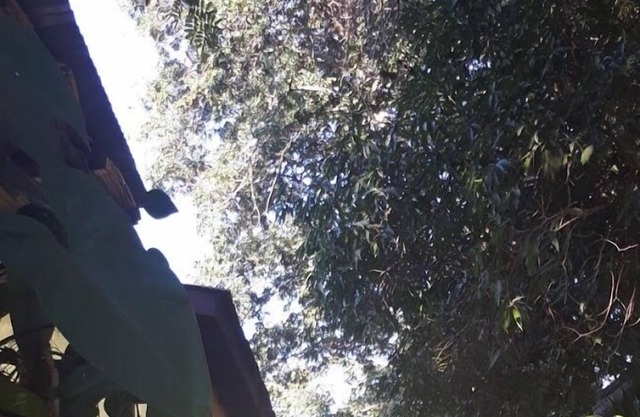 Pumulani Lodge Livingstone