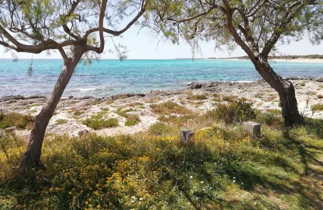 Punta Grossa - Porto Cesareo