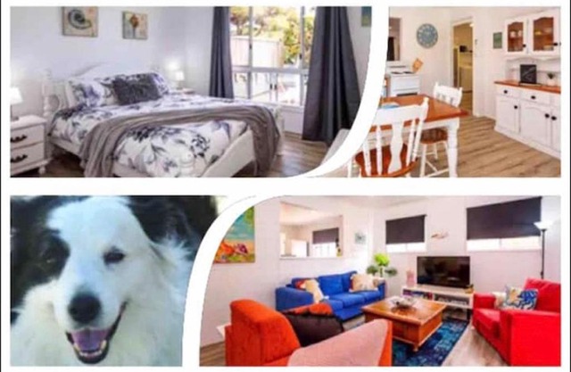 Puppies & Pancakes- King Bed Opposite Beach&Park