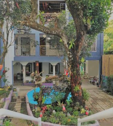 Purple Orchid Bed and Breakfast